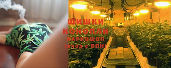 дурь Лиски