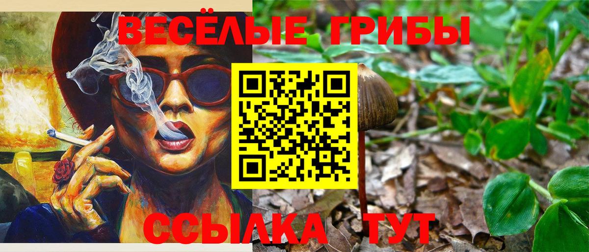 Улан-Удэ  Галлюциногенные грибы Magic Shrooms  Вход с VPN  Галлюциногенные грибы Magic Shrooms 
