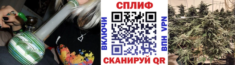 MEGA онион  где купить наркотик  Улан-Удэ  Каннабис индика 